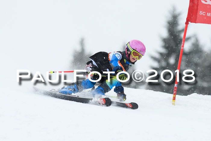 4. Ziener Cup WF, 25.02.2018