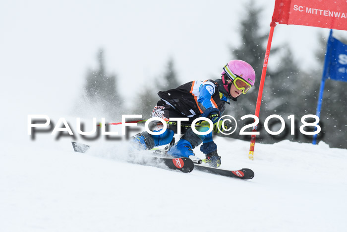 4. Ziener Cup WF, 25.02.2018