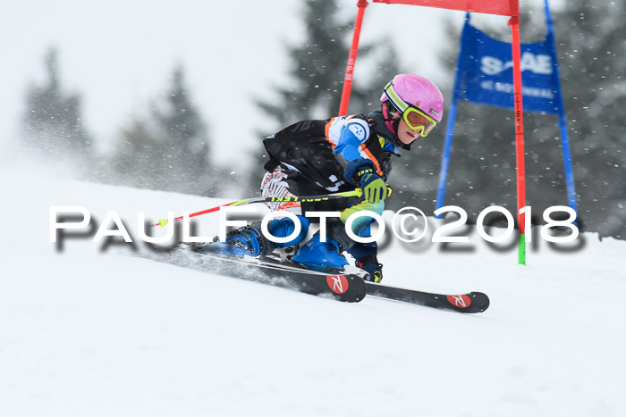 4. Ziener Cup WF, 25.02.2018