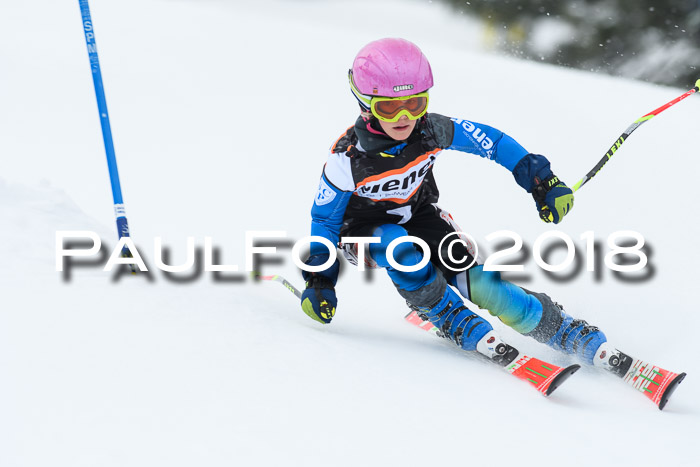 4. Ziener Cup WF, 25.02.2018