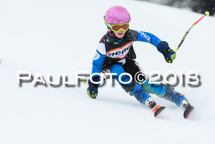 4. Ziener Cup WF, 25.02.2018