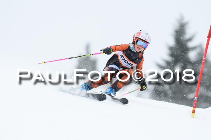 4. Ziener Cup WF, 25.02.2018