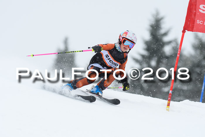 4. Ziener Cup WF, 25.02.2018