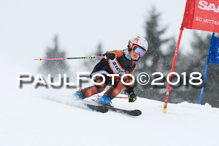 4. Ziener Cup WF, 25.02.2018