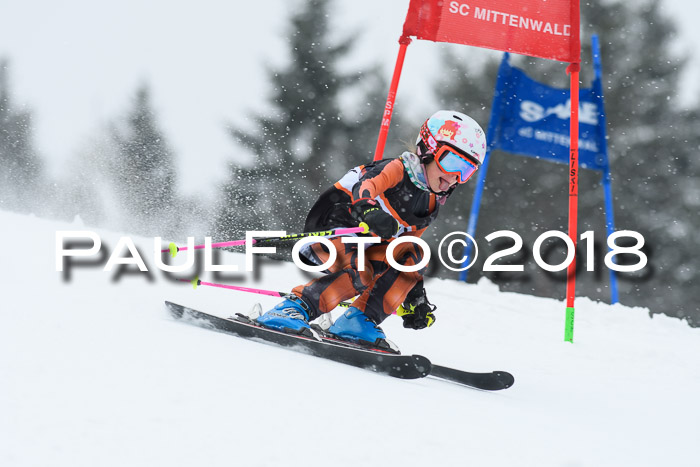 4. Ziener Cup WF, 25.02.2018