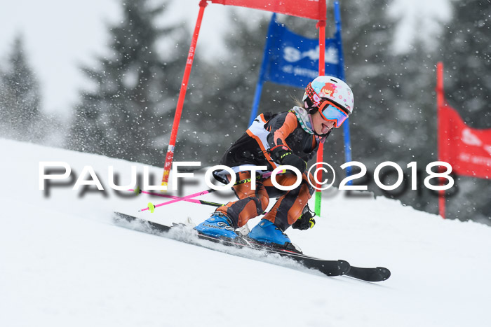 4. Ziener Cup WF, 25.02.2018