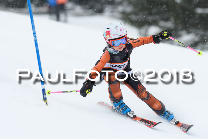 4. Ziener Cup WF, 25.02.2018