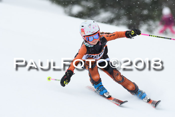4. Ziener Cup WF, 25.02.2018