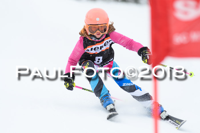 4. Ziener Cup WF, 25.02.2018