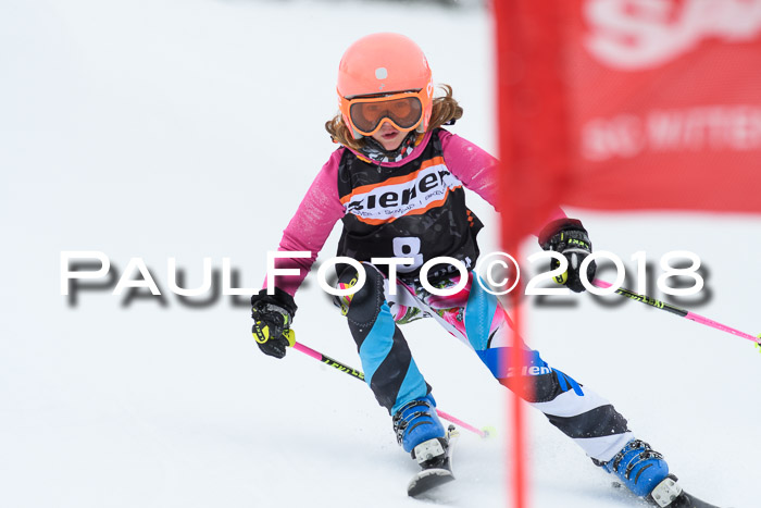 4. Ziener Cup WF, 25.02.2018