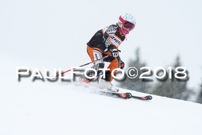 4. Ziener Cup WF, 25.02.2018