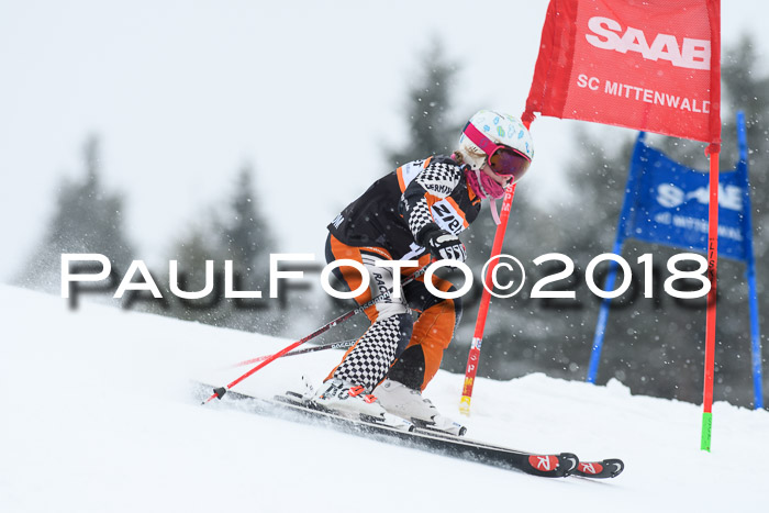 4. Ziener Cup WF, 25.02.2018