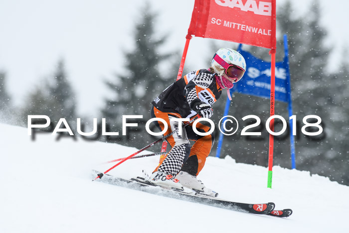 4. Ziener Cup WF, 25.02.2018