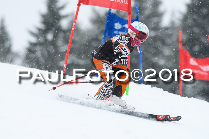 4. Ziener Cup WF, 25.02.2018