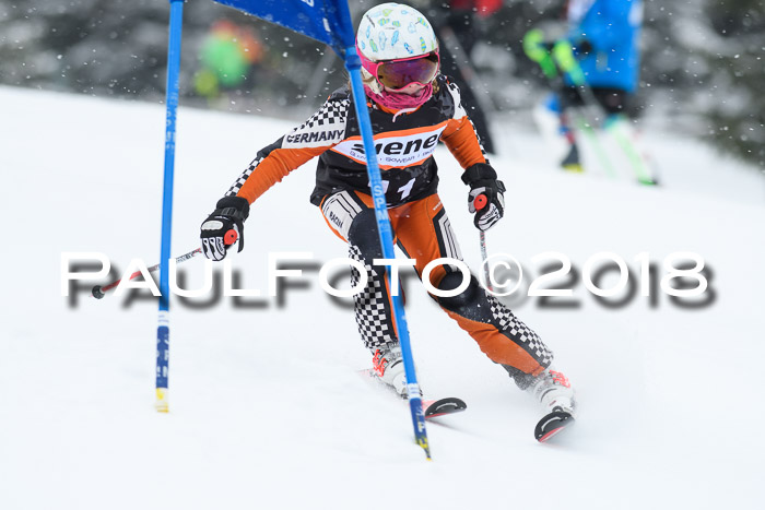 4. Ziener Cup WF, 25.02.2018