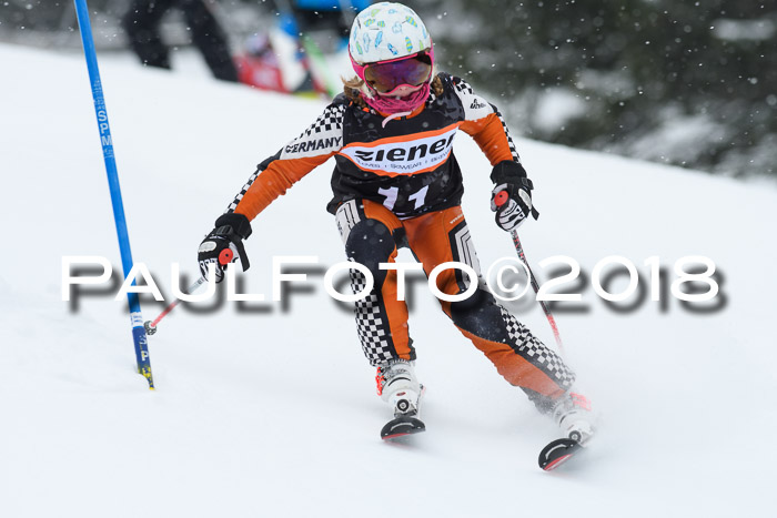4. Ziener Cup WF, 25.02.2018
