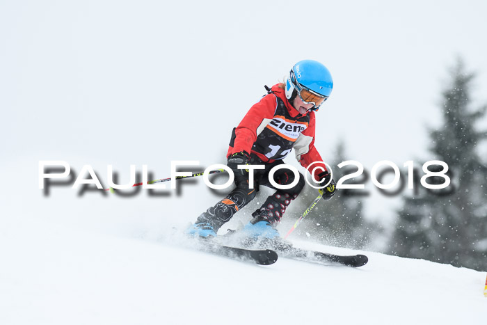4. Ziener Cup WF, 25.02.2018