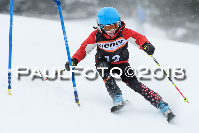 4. Ziener Cup WF, 25.02.2018