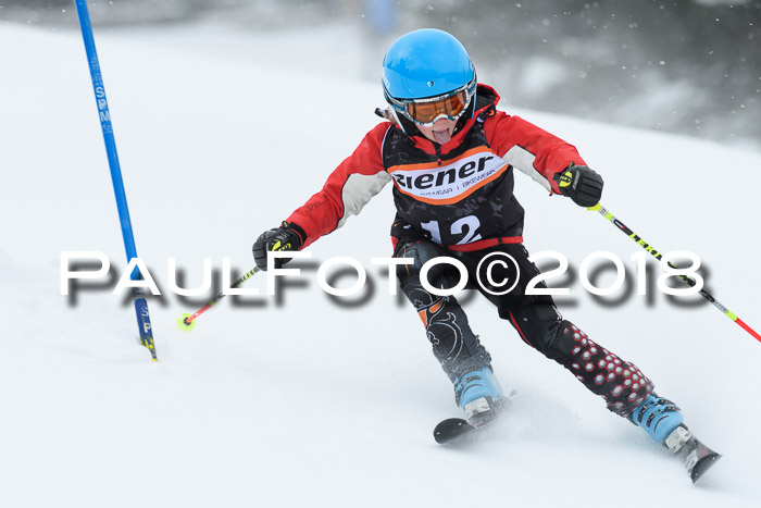 4. Ziener Cup WF, 25.02.2018