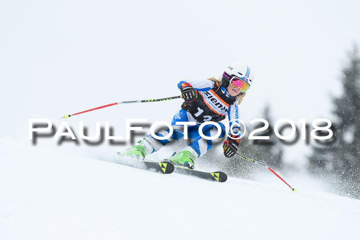 4. Ziener Cup WF, 25.02.2018