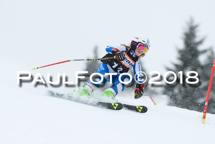 4. Ziener Cup WF, 25.02.2018