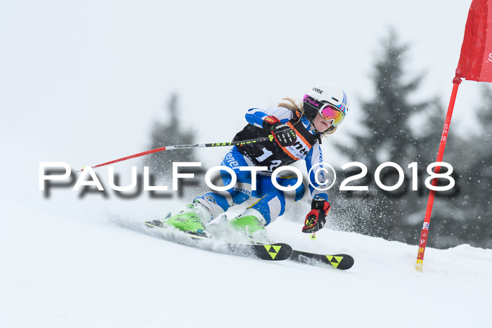 4. Ziener Cup WF, 25.02.2018