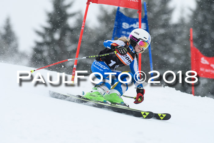 4. Ziener Cup WF, 25.02.2018
