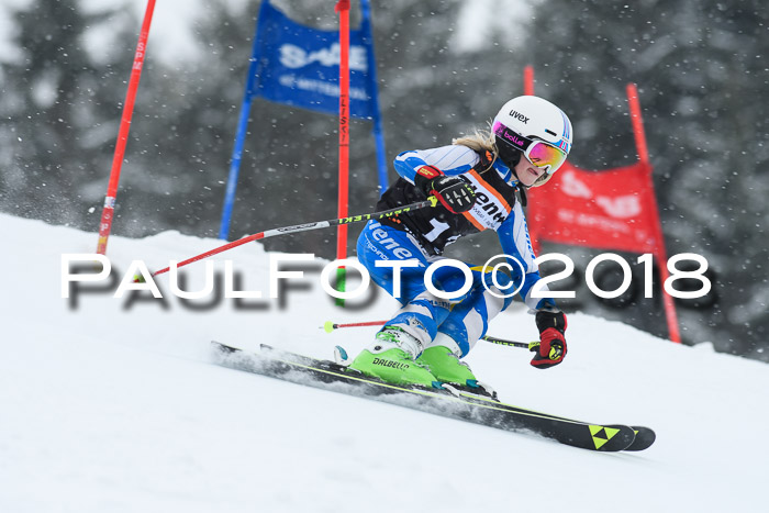 4. Ziener Cup WF, 25.02.2018