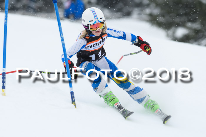 4. Ziener Cup WF, 25.02.2018