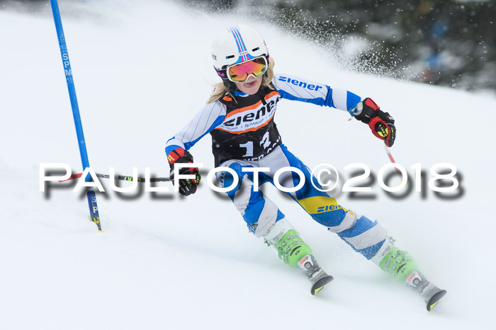4. Ziener Cup WF, 25.02.2018