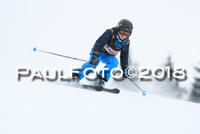 4. Ziener Cup WF, 25.02.2018