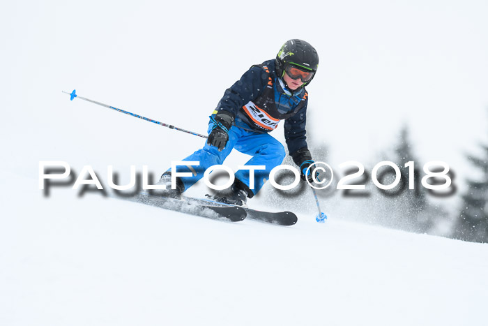 4. Ziener Cup WF, 25.02.2018