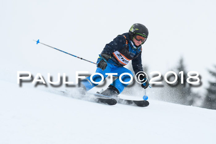 4. Ziener Cup WF, 25.02.2018