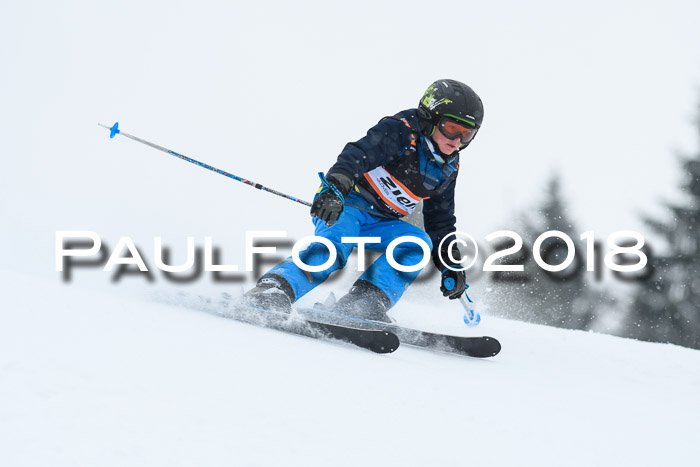 4. Ziener Cup WF, 25.02.2018