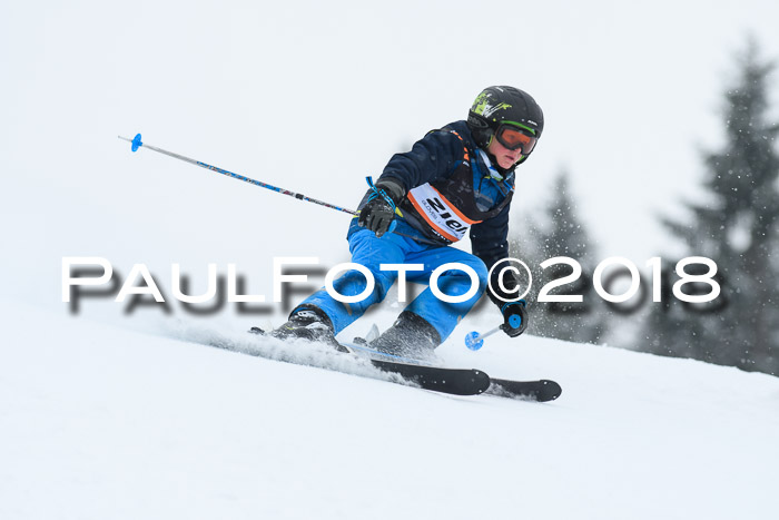 4. Ziener Cup WF, 25.02.2018