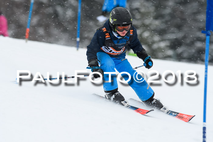 4. Ziener Cup WF, 25.02.2018