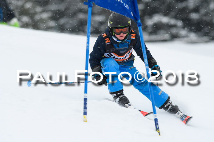 4. Ziener Cup WF, 25.02.2018