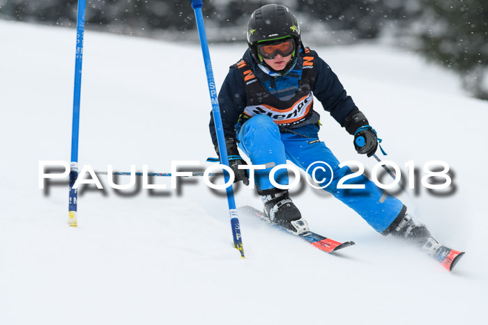 4. Ziener Cup WF, 25.02.2018
