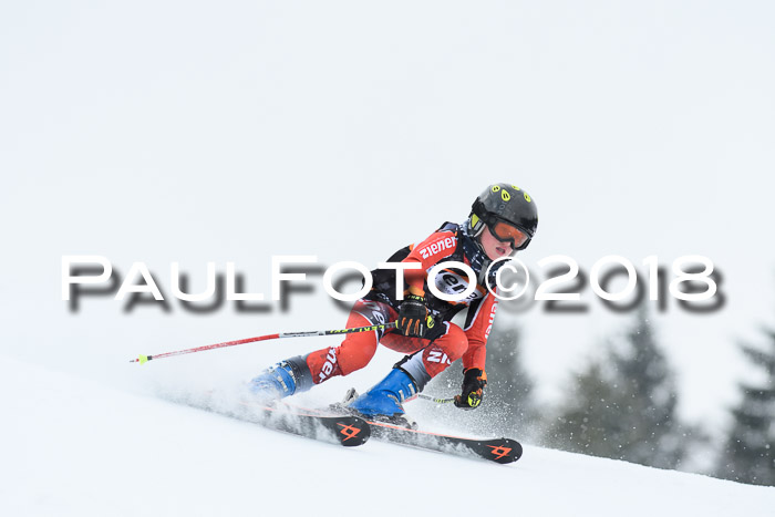 4. Ziener Cup WF, 25.02.2018