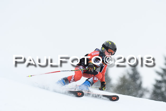 4. Ziener Cup WF, 25.02.2018