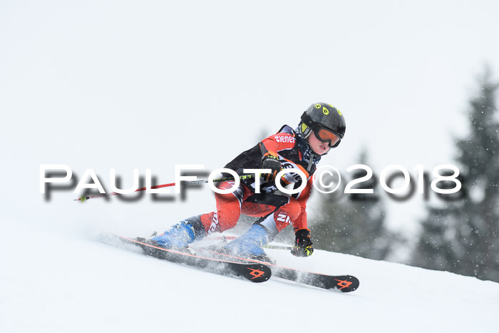 4. Ziener Cup WF, 25.02.2018