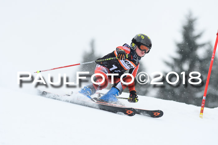 4. Ziener Cup WF, 25.02.2018