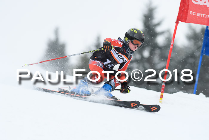 4. Ziener Cup WF, 25.02.2018