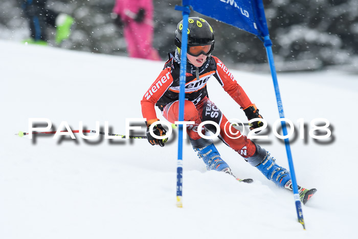 4. Ziener Cup WF, 25.02.2018