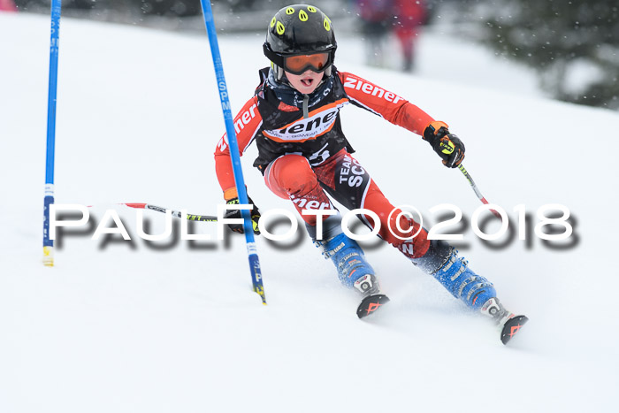 4. Ziener Cup WF, 25.02.2018