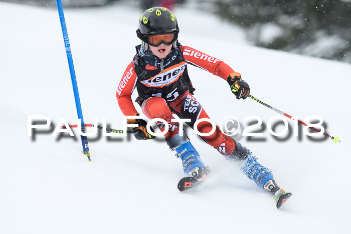 4. Ziener Cup WF, 25.02.2018