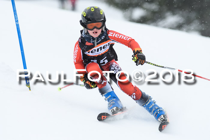 4. Ziener Cup WF, 25.02.2018