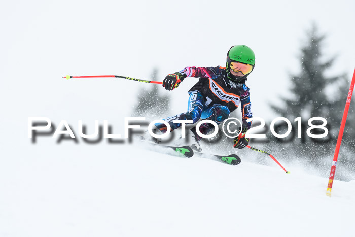4. Ziener Cup WF, 25.02.2018