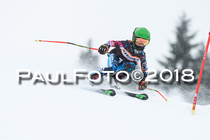 4. Ziener Cup WF, 25.02.2018