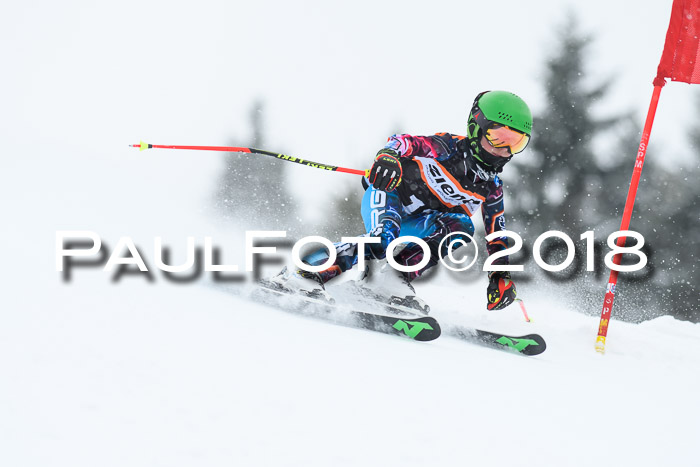 4. Ziener Cup WF, 25.02.2018